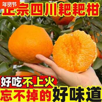 正宗眉山四川春见耙耙柑橘子新鲜水果孕妇当季水果甜蜜多汁年货节实付10.7元到手包邮