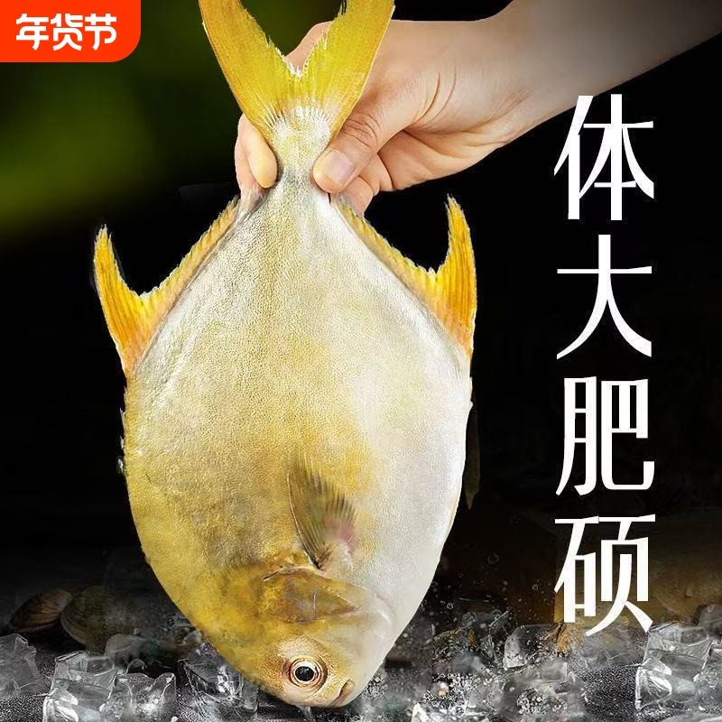 特大金鲳鱼新鲜冷冻鲜活金昌鱼冰鲜海鱼海鲜水产深海晶鱼鲳鳊平鱼,水产肉类/新鲜蔬果/熟食,鲳鱼,淘宝优惠券,粉丝福利购,淘宝优惠卷