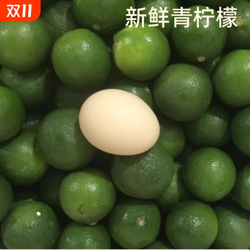 2025年土青柠檬10斤包邮广西新鲜现摘本地土柠檬黄牛脚子腌制专用