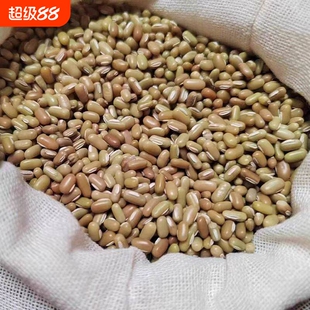 今年新豆贵州特产农家小米豆豆子熬粥酸菜米豆五谷杂粮豆饭豆