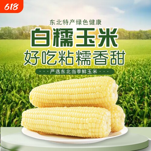 白糯玉米东北白糯玉米软糯香甜真空装加热即食新鲜玉米棒代餐粗粮