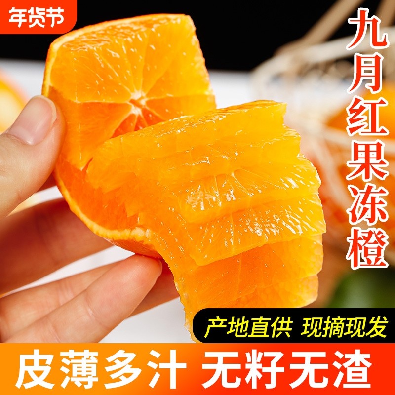 九月红果冻橙皮薄秭归时令水果当季大果整箱榨汁手剥橙子年货节,水产肉类/新鲜蔬果/熟食,橙,淘宝优惠券,粉丝福利购,淘宝优惠卷