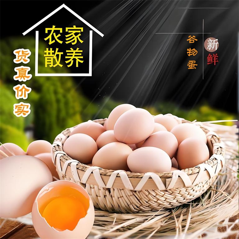 正宗农家散养鲜鸡蛋柴鸡蛋谷物鸡蛋杂粮笨鸡蛋草鸡蛋新鲜现发客服