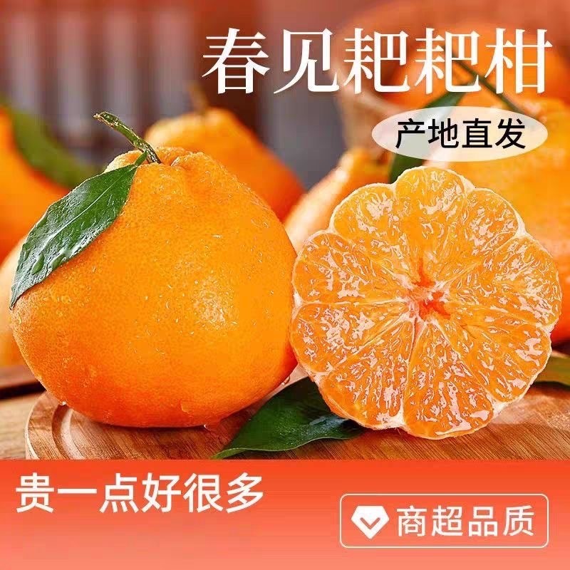 正宗四川眉州特产春见耙耙柑丑橘桔子当季新鲜孕妇水果整箱批发,水产肉类/新鲜蔬果/熟食,桔子,淘宝优惠券,粉丝福利购,淘宝优惠卷