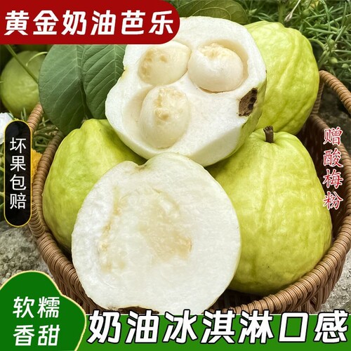 广西番石榴白心芭乐冰淇淋