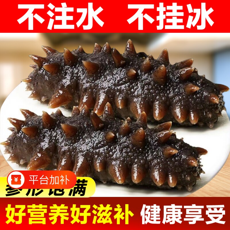 新鲜即食海参刺参野生长岛辽参500g鲜活渗干货大连礼盒水产冷冻
