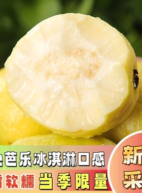 广西软心番石榴白心芭乐当季新鲜水果软糯奶油芭乐果热带黄金生鲜