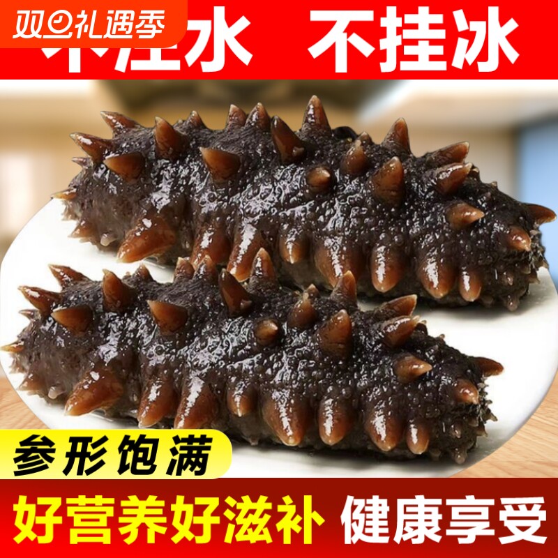 新鲜即食海参刺参野生长岛辽参500g鲜活渗干货大连礼盒水产冷冻