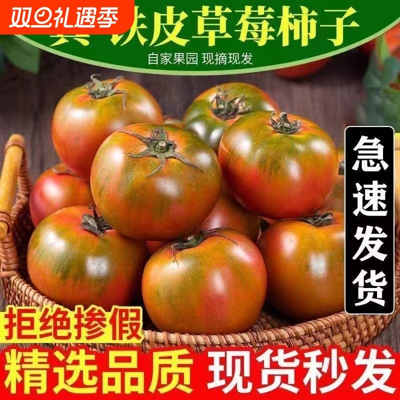 铁皮柿子丹东番茄草莓西红柿水果生吃蔬菜农场果园自然熟甜蜜现摘