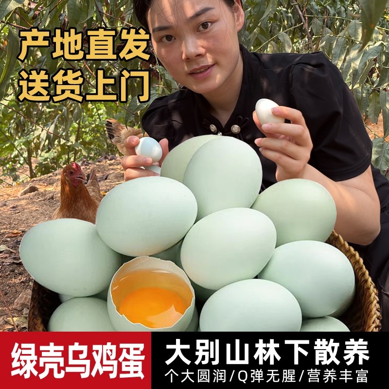 绿壳散养土鸡蛋大别山农家土鸡优质乌鸡蛋高营养健康新鲜现捡现发,水产肉类/新鲜蔬果/熟食,鸡蛋,淘宝优惠券,粉丝福利购,淘宝优惠卷