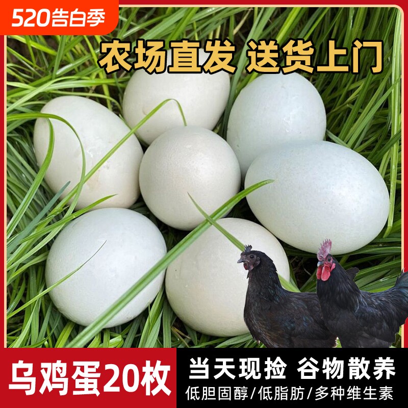 绿壳鸡蛋乌鸡蛋正宗农家散养50枚大别山跑山鸡蛋正宗土鸡蛋新鲜