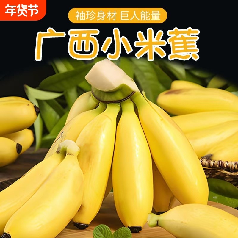 广西小米蕉正宗当季水果新鲜自然熟整箱苹果蕉香蕉芭蕉包邮现摘,水产肉类/新鲜蔬果/熟食,香蕉,淘宝优惠券,粉丝福利购,淘宝优惠卷