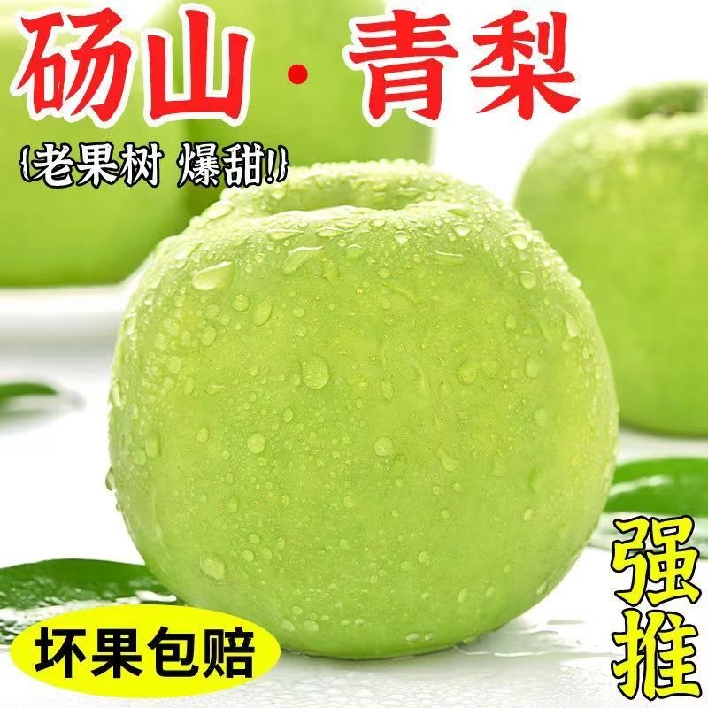 正宗砀山青梨翠玉梨爆甜无渣新鲜水果梨子砀山梨爽口汁青皮梨产地
