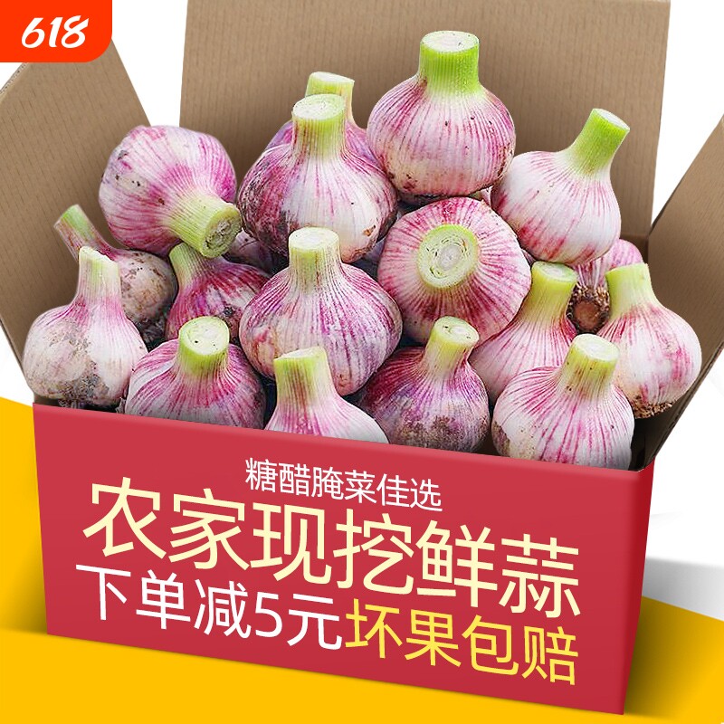 现挖新鲜糖醋云大蒜5斤河南湿蒜多瓣腊八蒜头云批发紫皮当季包赔