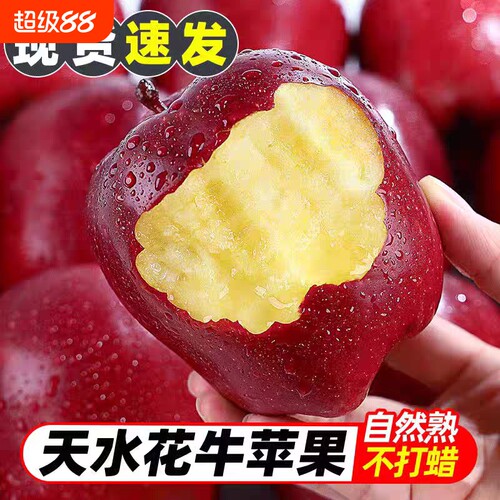 天水花牛苹果新鲜应季蛇红果婴儿粉面沙甜苹果老人宝宝孕妇刮泥