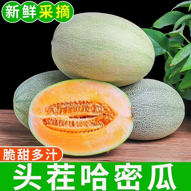 正宗海南哈密瓜10斤新鲜水果疆西州蜜瓜25号老汉瓜一整箱网纹甜瓜