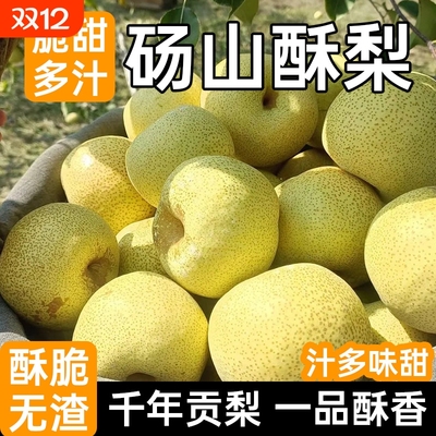 产地直发冰糖酥梨皮薄多汁核小肉质细腻无渣清甜润燥家庭分享装