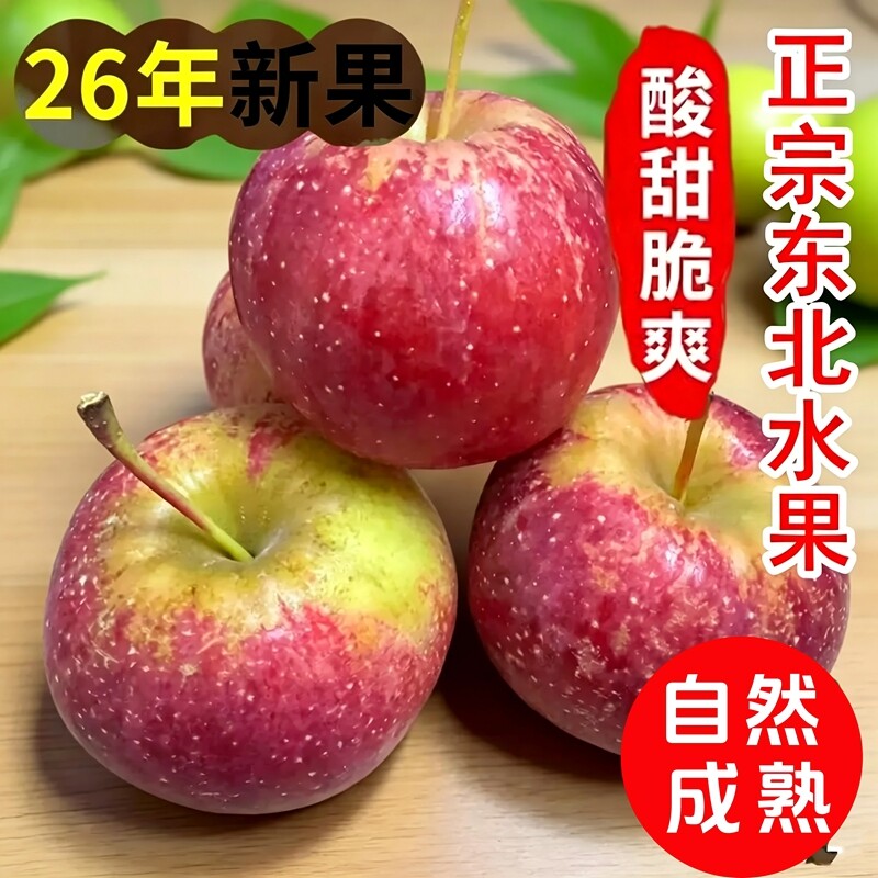东北龙丰果酸甜脆小苹果新鲜应季当季现摘大秋果孕妇水果丑苹果