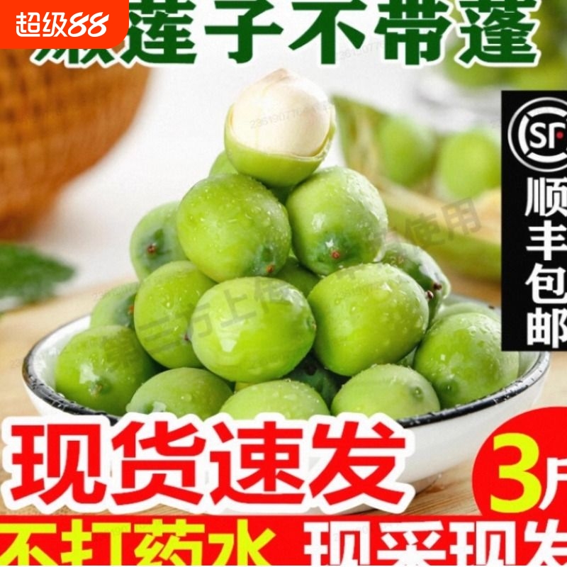 现货新鲜莲蓬现摘生吃3斤新鲜孕妇水果当季蔬菜甜嫩湿莲子米即食