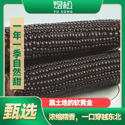 东北黑糯玉米富含花青素真空包装