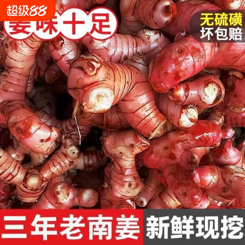 正宗广东红皮老南姜新鲜现挖生姜应季提味调料野山姜潮汕特产批发