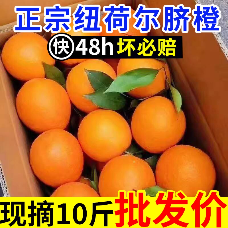 正宗纯甜纽荷尔脐橙子新鲜水果非江西赣州赣南当季大果整箱批发