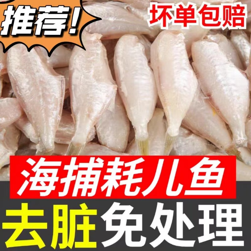 耗儿鱼新鲜冷冻中小号商用免处理火锅马面鱼扒皮剥皮鱼海鲜