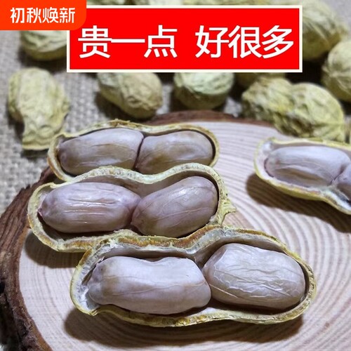 新龙岩水煮花生白晒干盐水煮咸干湿烤500gx2袋装散熟零食特产原味