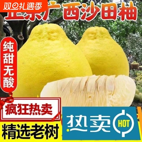 广西容县沙田柚白肉柚子新鲜水果