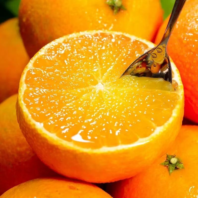 爱媛38号当季果冻橙|千人加购
