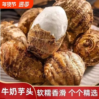 当季新鲜2025年山东高山牛奶小芋头软糯香甜山东毛芋艿小香芋蔬菜