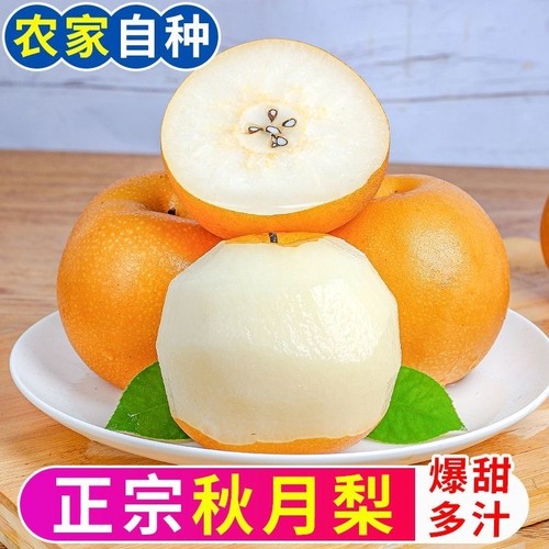 正宗烟台莱阳秋月梨当季羊脂梨子4.5新鲜整箱山东新鲜当季水果