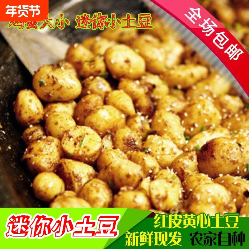 云南小土豆红皮土豆迷你农家种植高山土豆粉糯软香带箱10鸡蛋自种,水产肉类/新鲜蔬果/熟食,土豆,淘宝优惠券,粉丝福利购,淘宝优惠卷