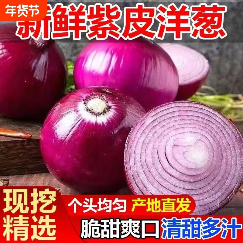 新鲜现挖当季紫皮红洋葱深紫色生吃水果洋葱圆葱蔬菜包邮脆甜,水产肉类/新鲜蔬果/熟食,洋葱/红葱头,淘宝优惠券,粉丝福利购,淘宝优惠卷