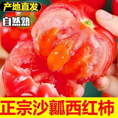 正宗自然熟沙西红柿5斤