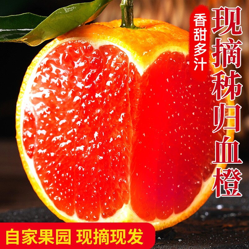 正宗中华红血橙当季时令水果新鲜整箱湖北秭归红心肉橙脐榨汁橙子