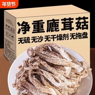 古田鹿茸菇干货鹿茸菌商用香菇煲汤新鲜蘑菇健康美味食材批发新货