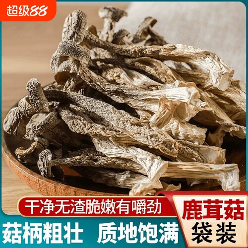 2024净重无干燥剂古田精选鹿茸菇无硫熏鲜鹿茸菌煲汤菌菇包邮新货