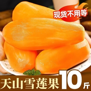 精选新鲜云南天山雪莲果水果当季现挖脆甜时令新果精品黄心9斤装