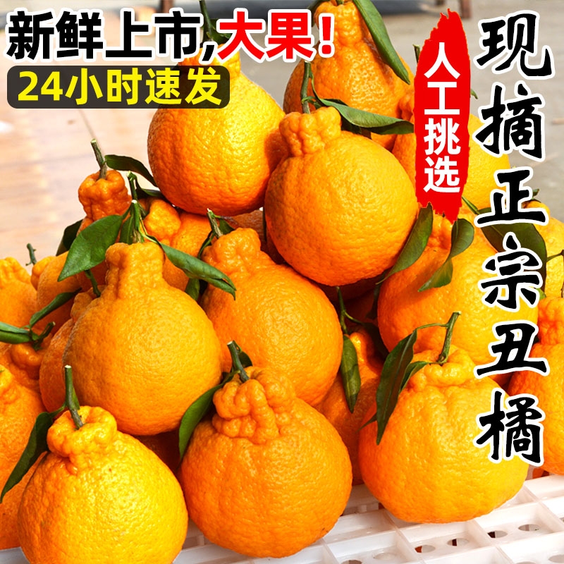 精选高山丑橘特甜整箱当季新鲜