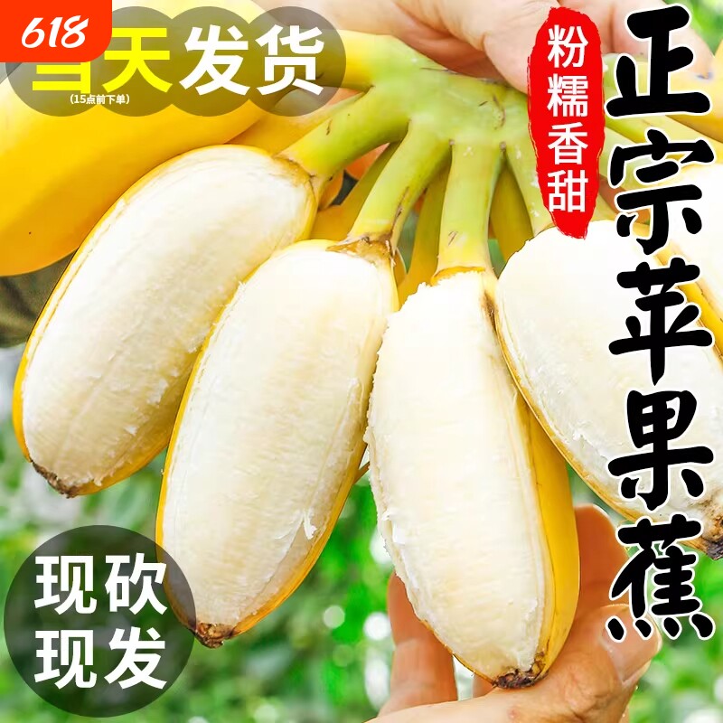 苹果蕉正宗香蕉小米蕉5斤新鲜水果当季整箱自然熟芭蕉包邮粉蕉9斤