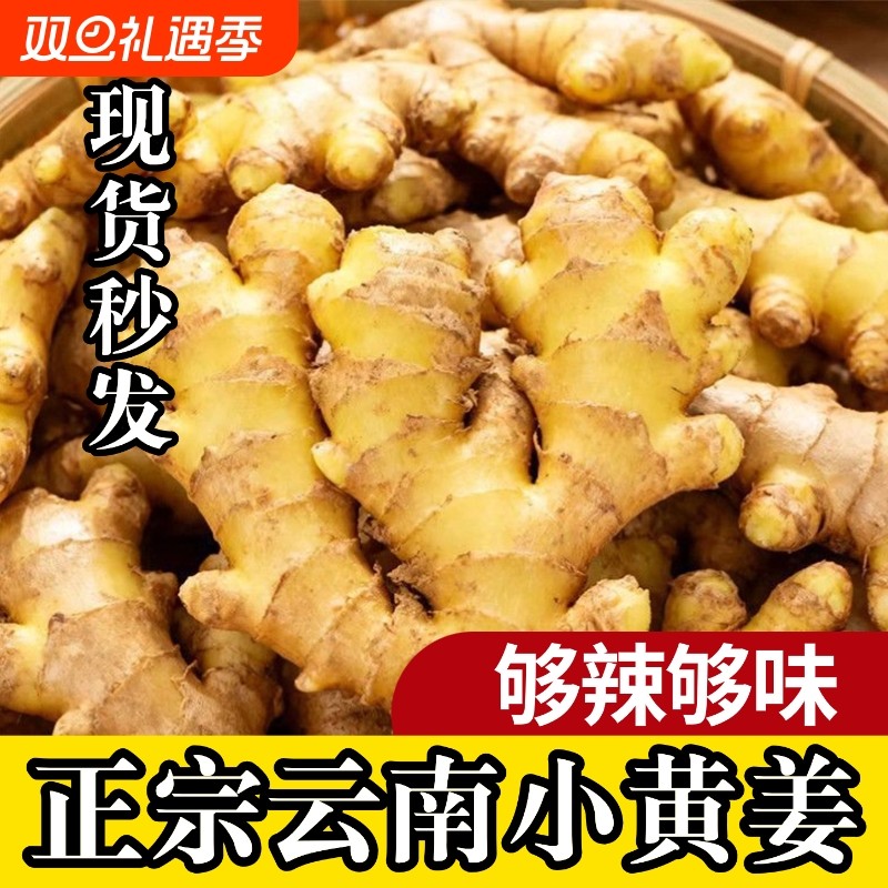 批发正宗云南小黄姜新鲜生姜现挖高山农家自种土姜蔬菜纯天然食用