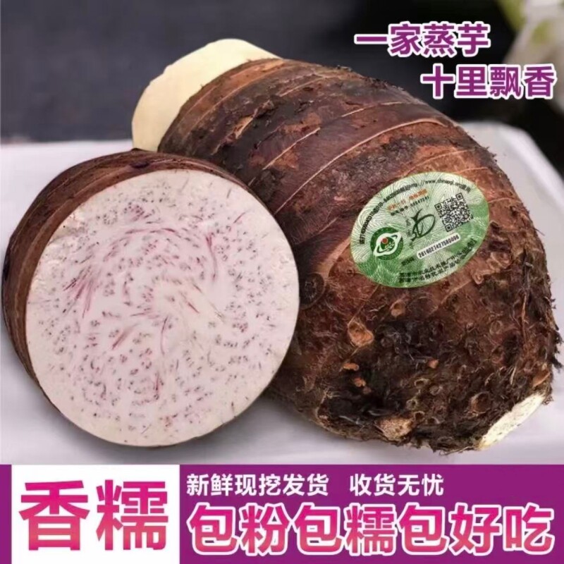 荔浦芋头正宗贡品级精挑新鲜现挖老水芋头