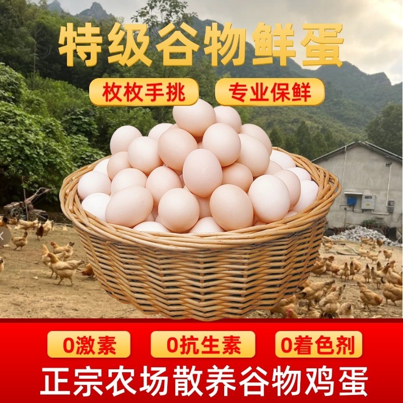 农家散养土鸡蛋正宗农村鲜鸡蛋30枚营养早餐新鲜鸡蛋谷物放养农场,水产肉类/新鲜蔬果/熟食,鸡蛋,淘宝优惠券,粉丝福利购,淘宝优惠卷