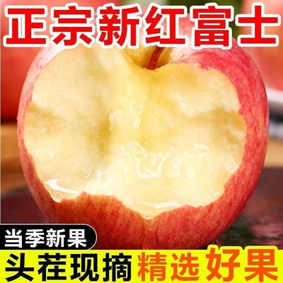 正宗红富士苹果脆甜新鲜苹果应季水果头茬现摘冰糖心整箱批发当季