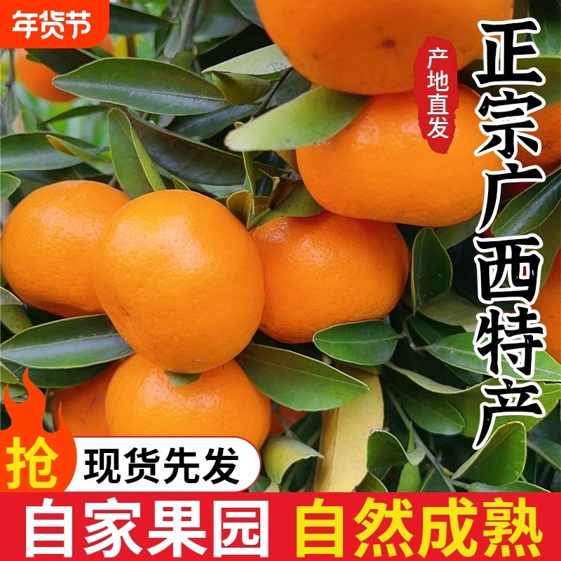 2025年正宗砂糖橘新鲜蜜橘鲜果柑橘当季水果顺丰包邮果园年货节,水产肉类/新鲜蔬果/熟食,桔子,淘宝优惠券,粉丝福利购,淘宝优惠卷