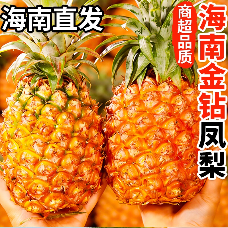 海南金钻凤梨新鲜水果树上熟芒果凤梨香水菠萝大果无眼整箱包邮