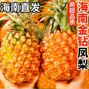 海南金钻凤梨新鲜水果树上熟芒果凤梨香水菠萝大果无眼整箱包邮