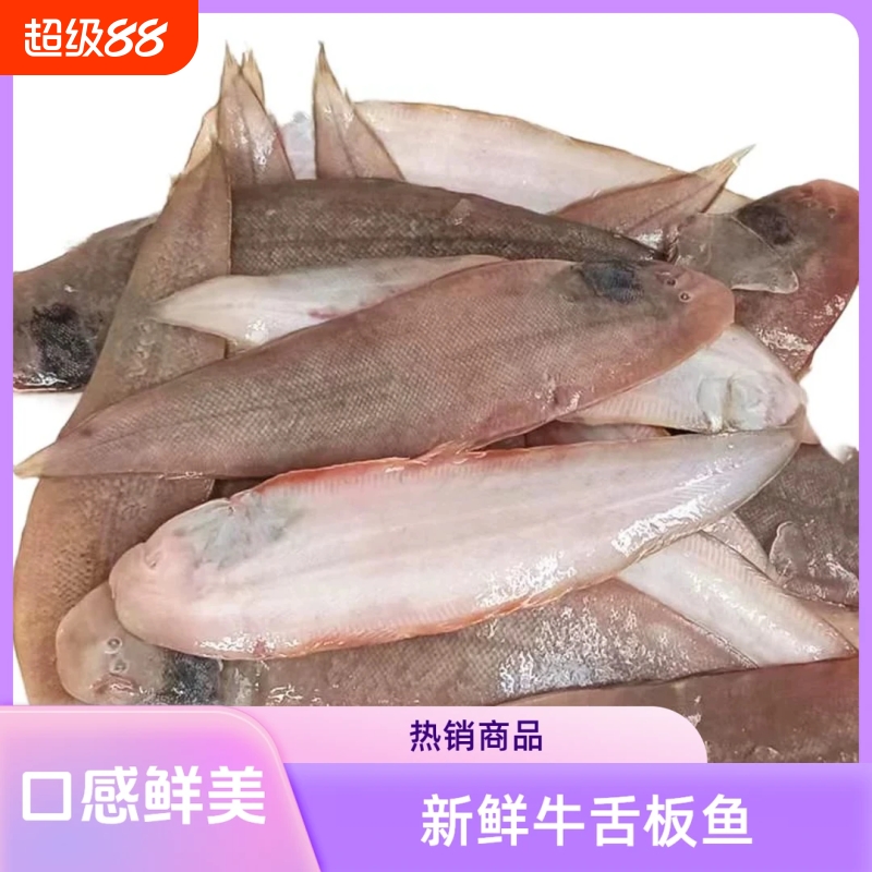 海捕龙利鱼小舌头鱼新鲜踏板鱼带皮冷冻海鱼海鲜生鲜商用批鱼片