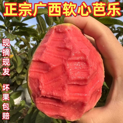 广西正宗红心软糯奶油芭乐新鲜